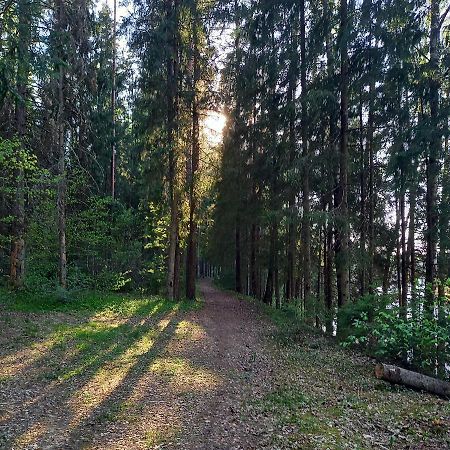 Апартаменты Ozolu Gatve 2- No Cesim 7 Km Янмуйжа Экстерьер фото